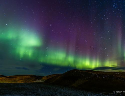 Lieblingsbild der Woche 27/2026 – Polarlichter in Nordisland