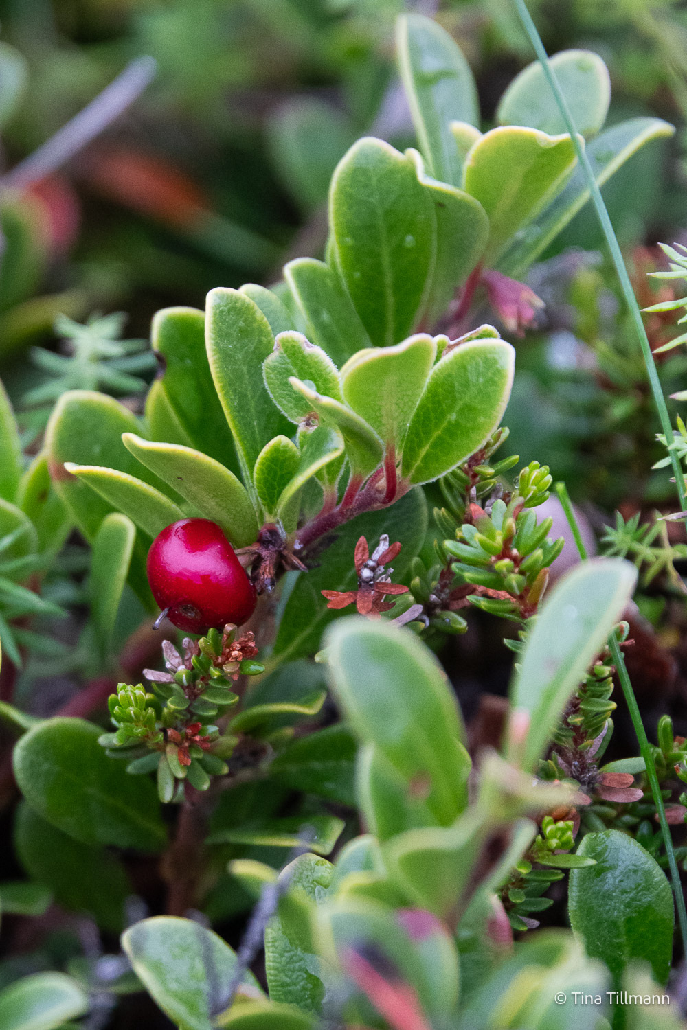 2025_09_Island_Teilnehmer-127