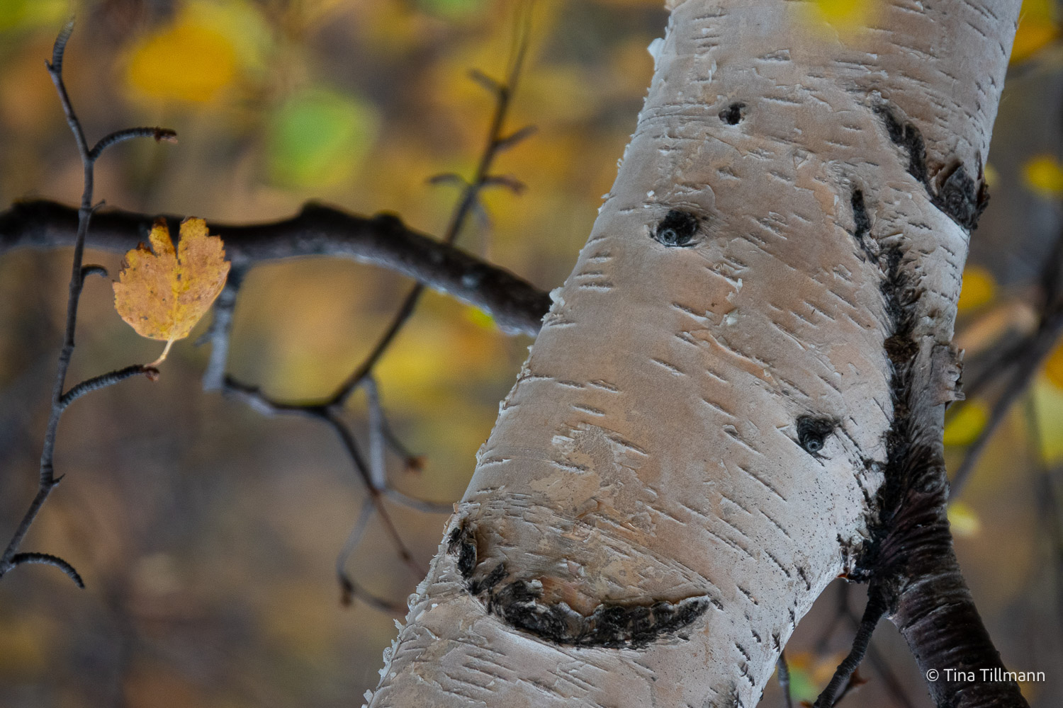 2025_09_Island_Teilnehmer-128