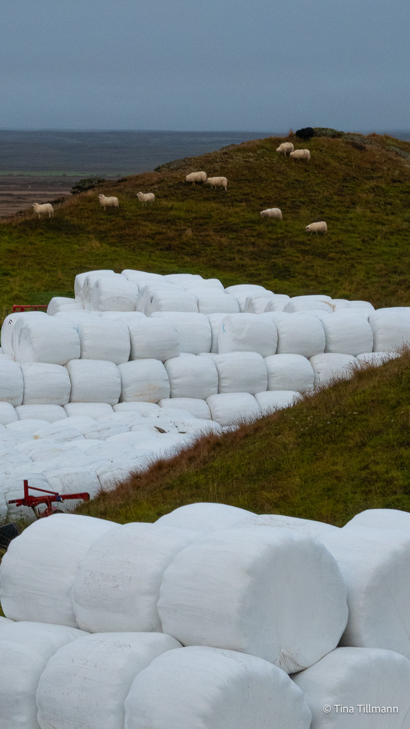 2025_09_Island_Teilnehmer-142