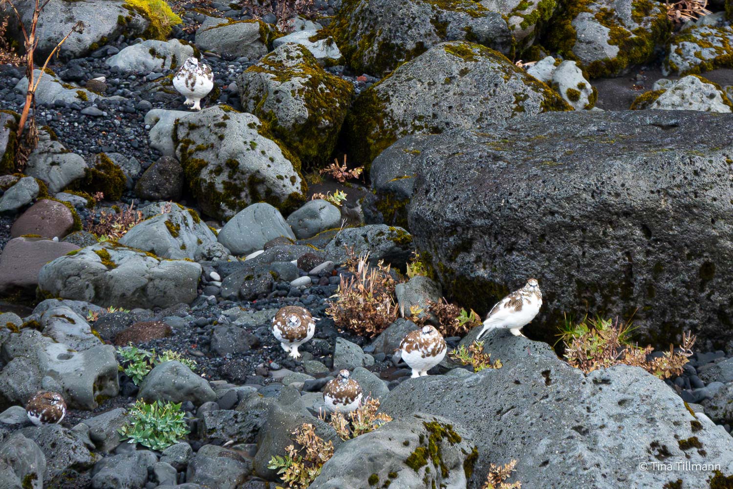 2025_09_Island_Teilnehmer-144