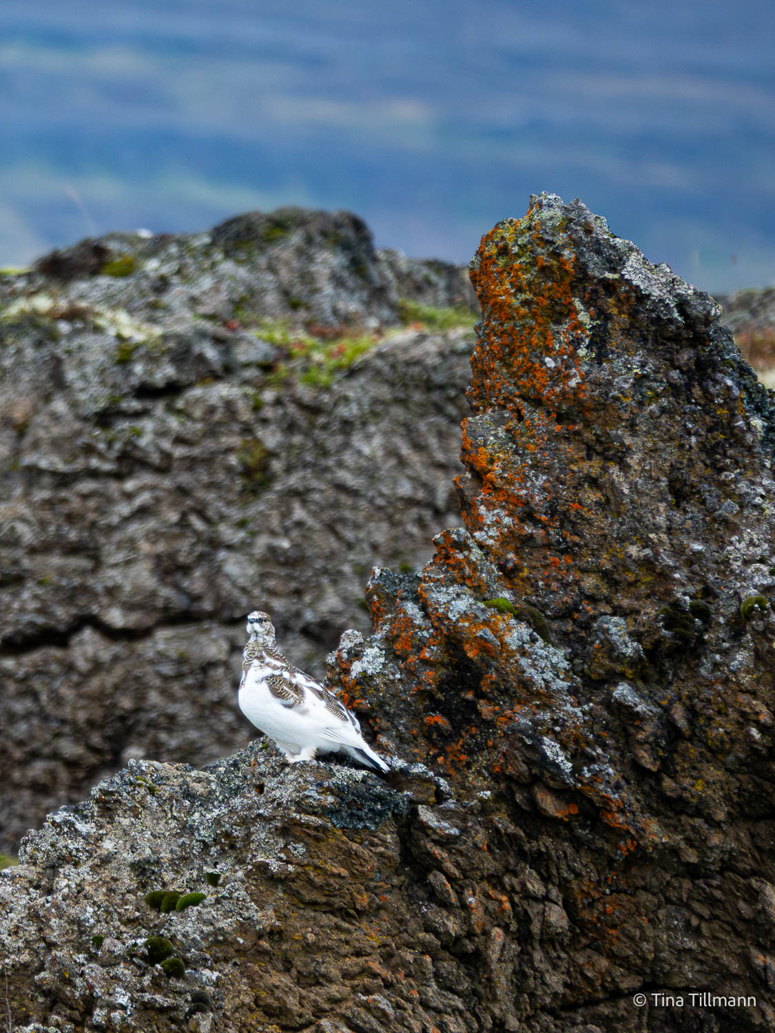 2025_09_Island_Teilnehmer-149