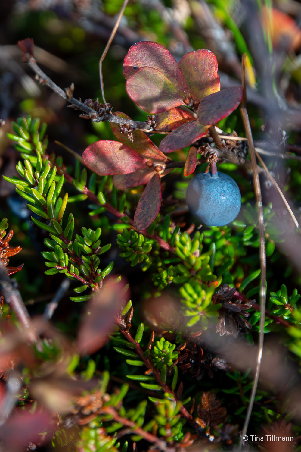 2025_09_Island_Teilnehmer-154