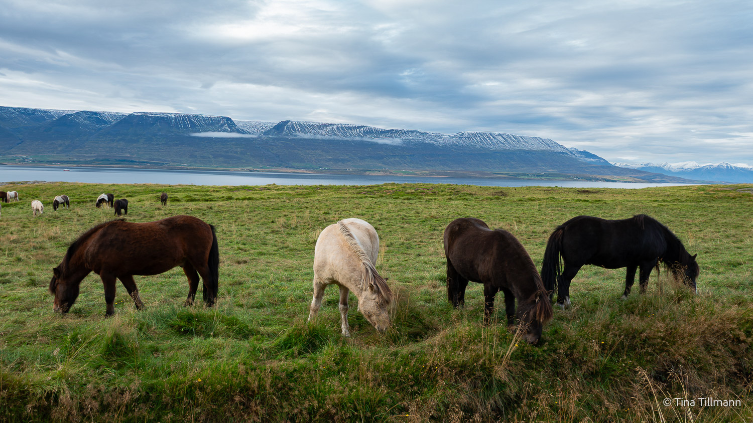 2025_09_Island_Teilnehmer-156