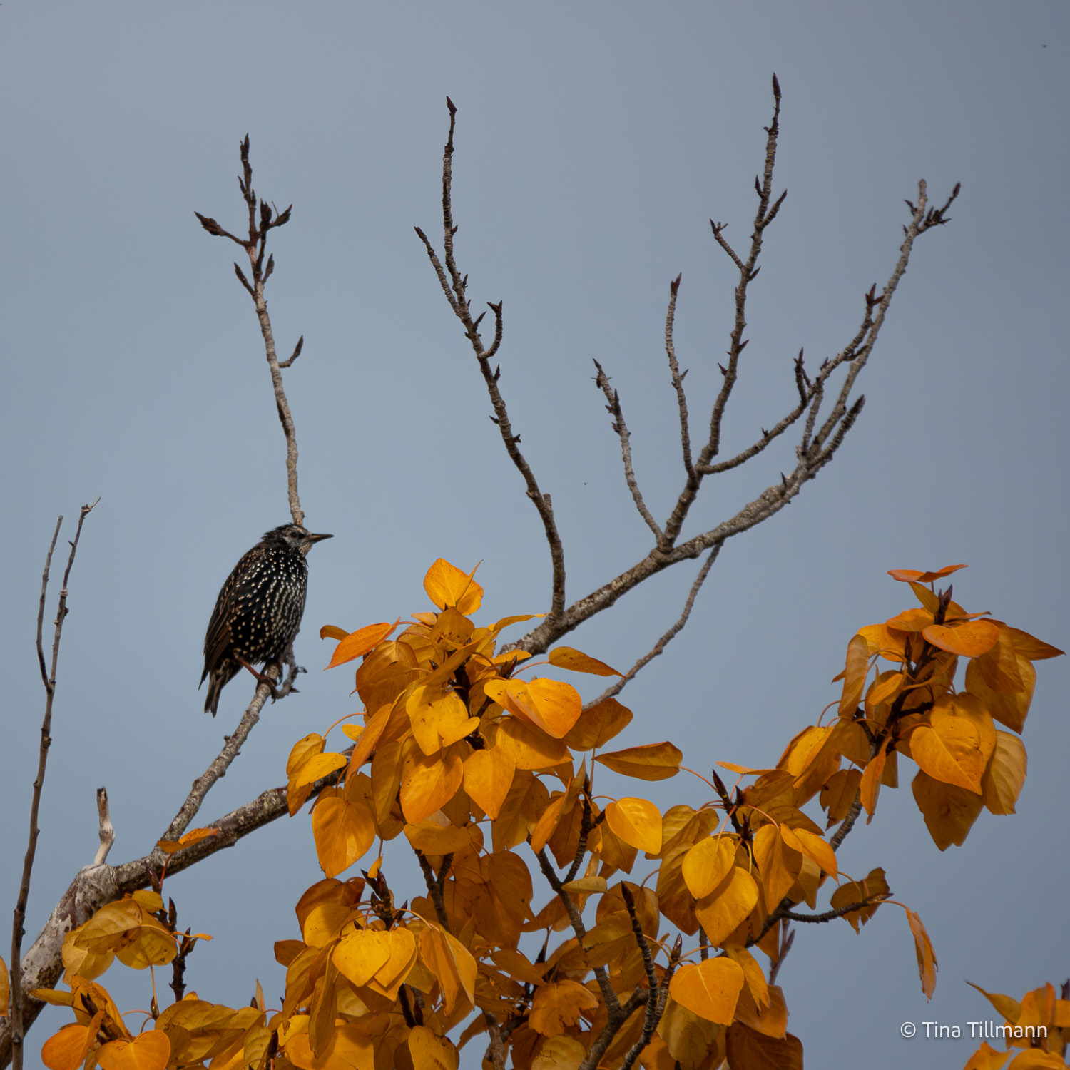 2025_09_Island_Teilnehmer-160