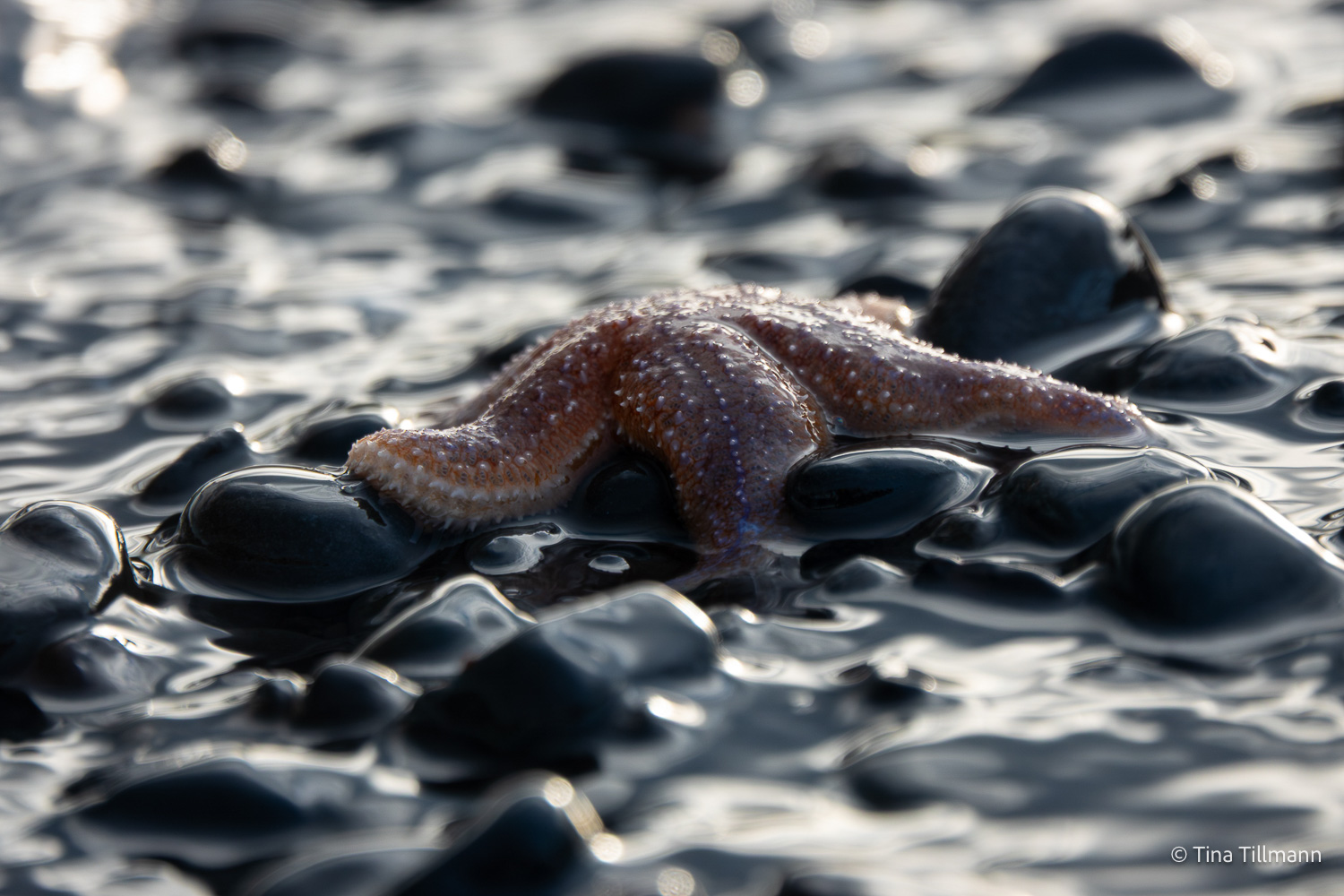 2025_09_Island_Teilnehmer-162