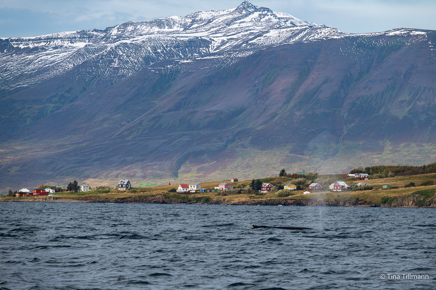 2025_09_Island_Teilnehmer-181