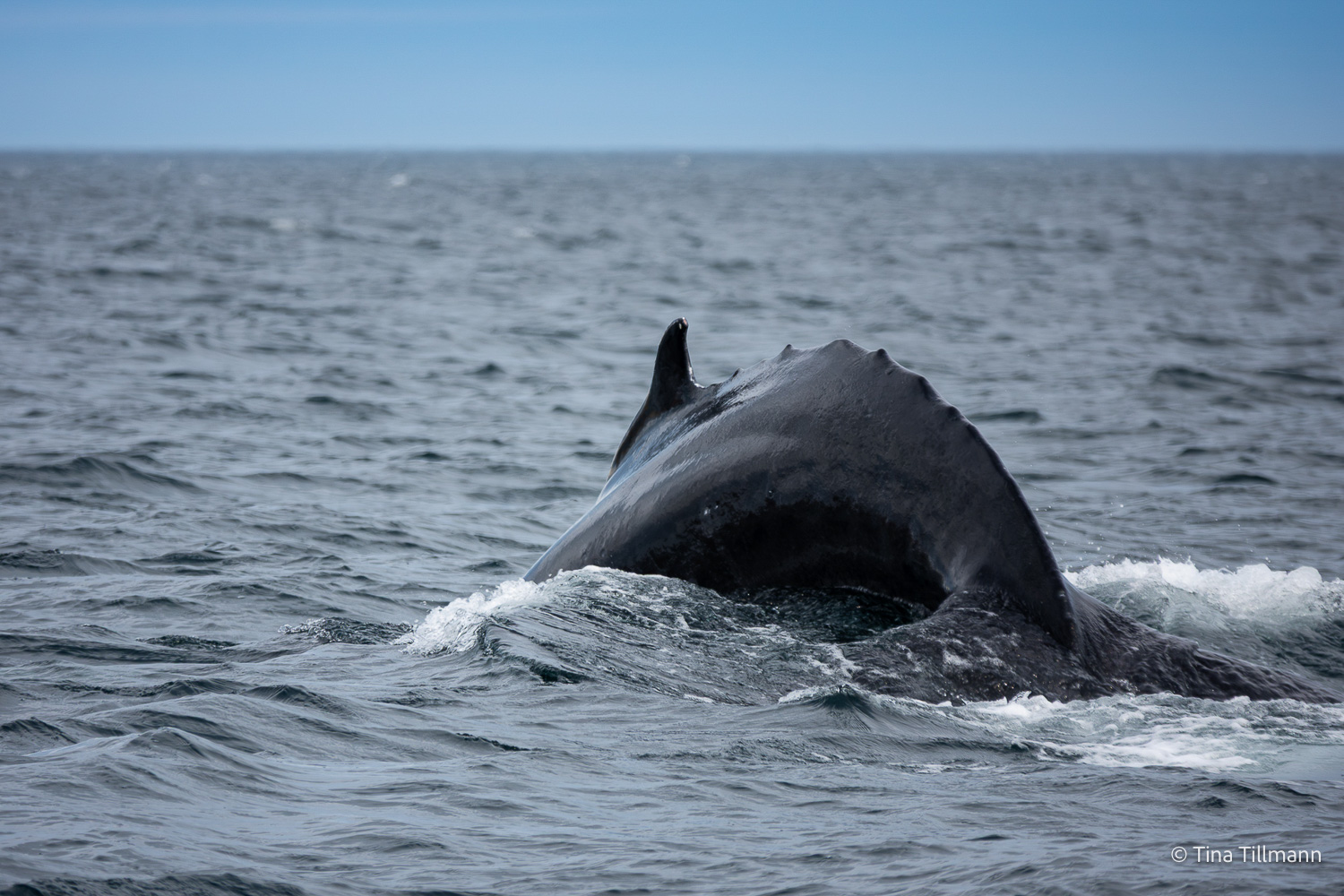 2025_09_Island_Teilnehmer-182