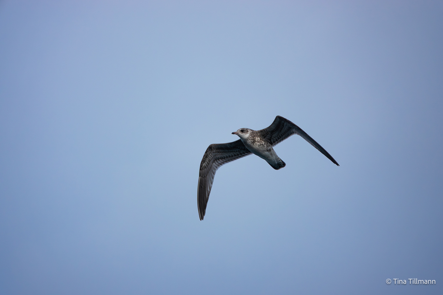 2025_09_Island_Teilnehmer-183