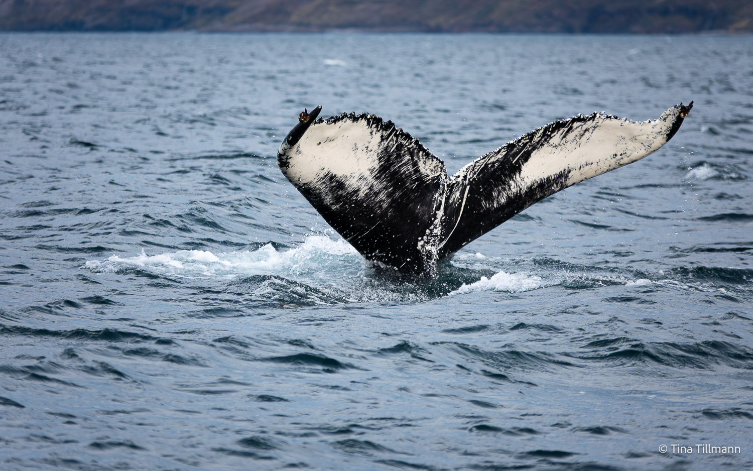 2025_09_Island_Teilnehmer-184