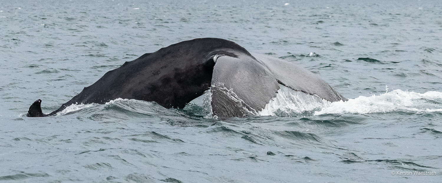 2025_09_Island_Teilnehmer-189