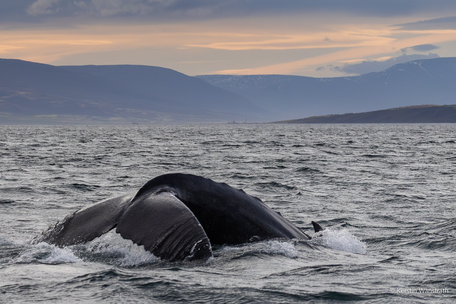 2025_09_Island_Teilnehmer-191