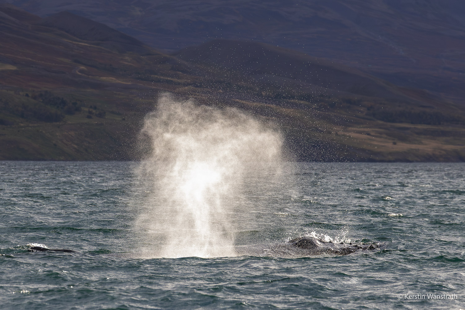 2025_09_Island_Teilnehmer-193