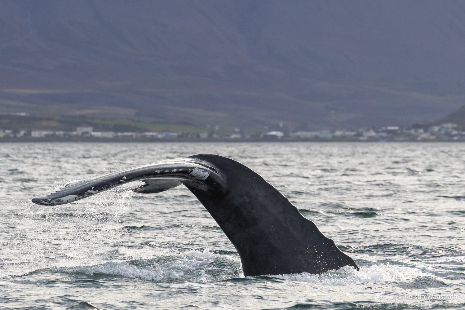 2025_09_Island_Teilnehmer-194