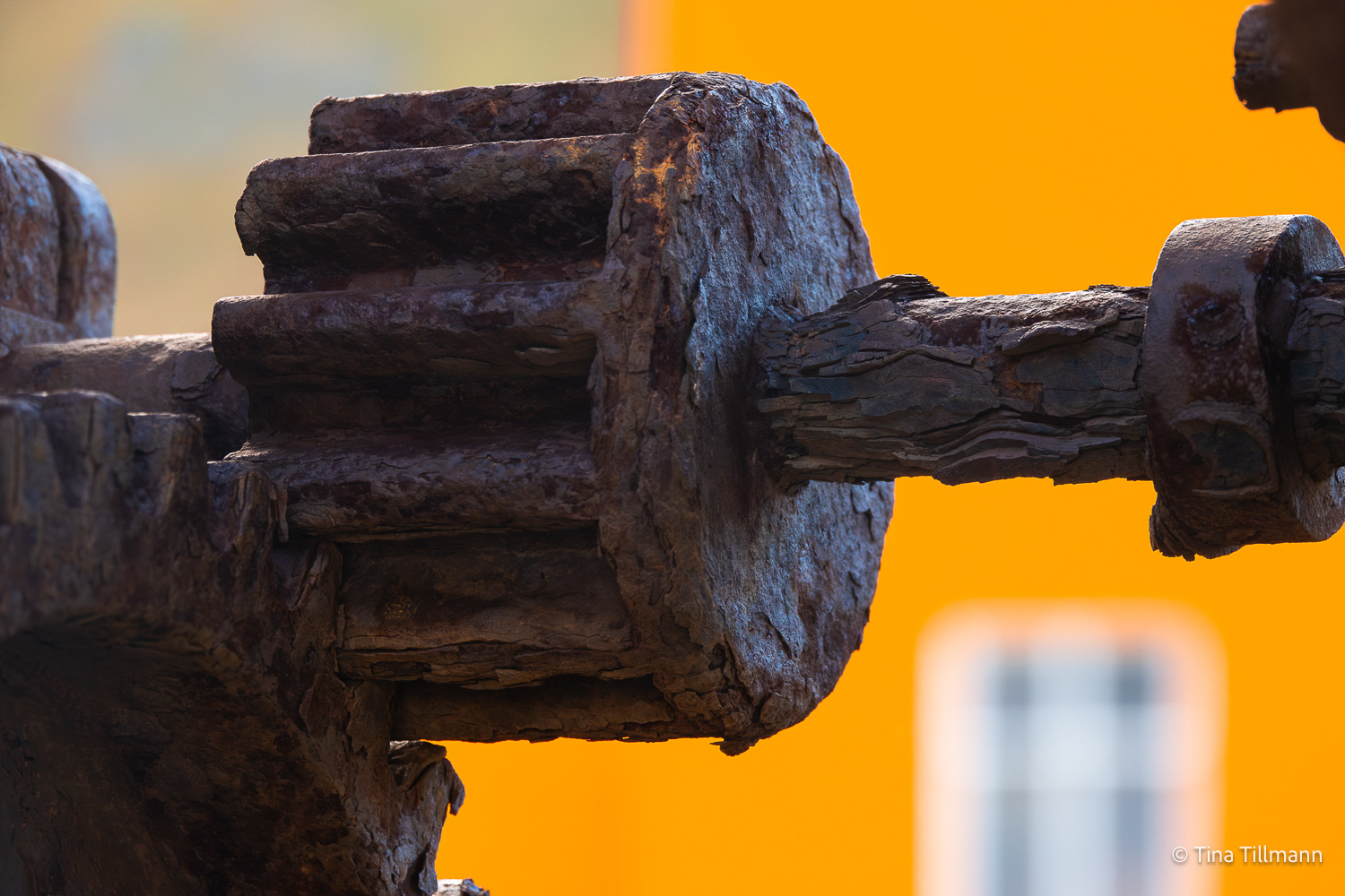 2025_09_Island_Teilnehmer-205