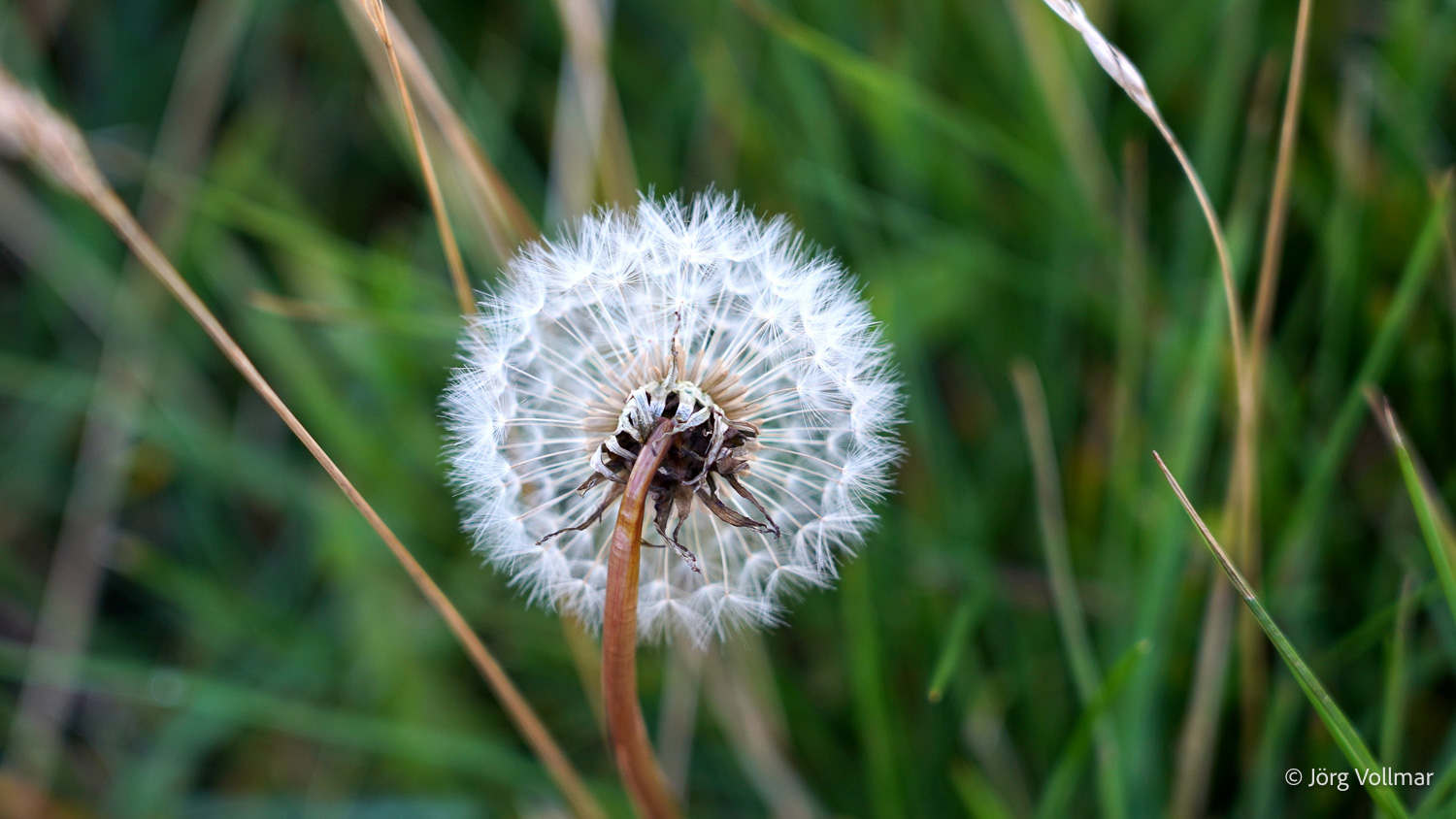 2025_09_Island_Teilnehmer-208