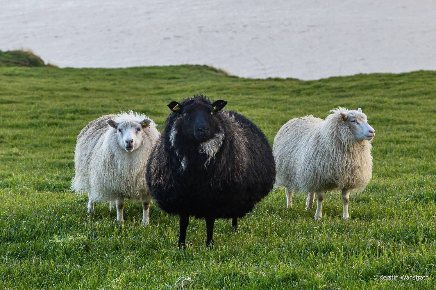 2025_09_Island_Teilnehmer-219