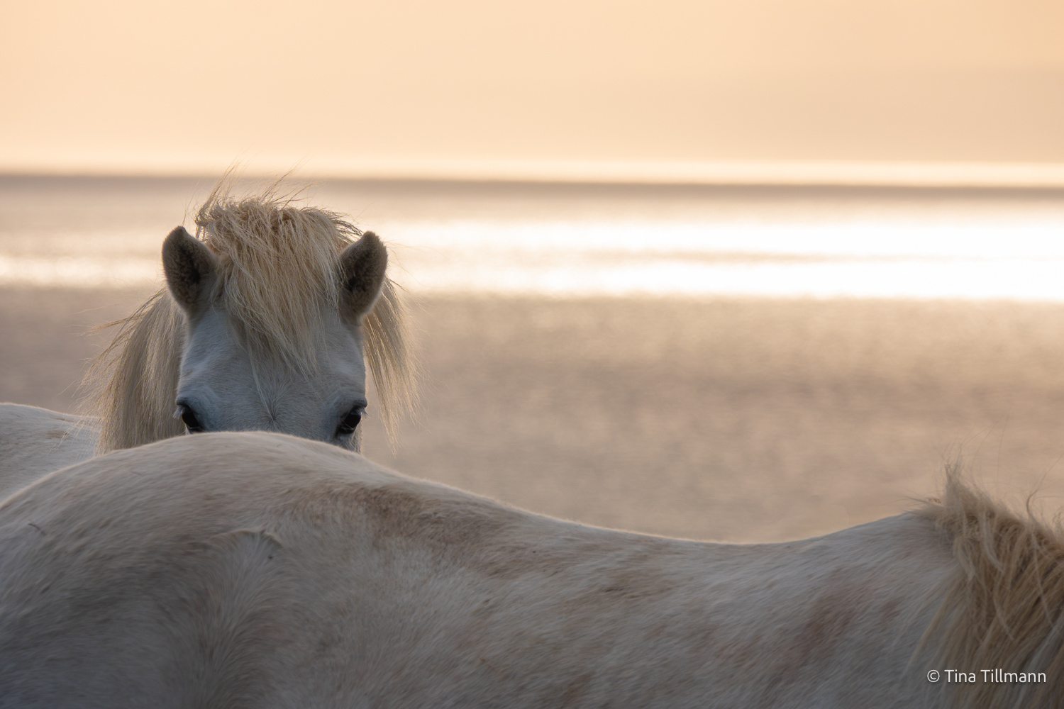 2025_09_Island_Teilnehmer-233