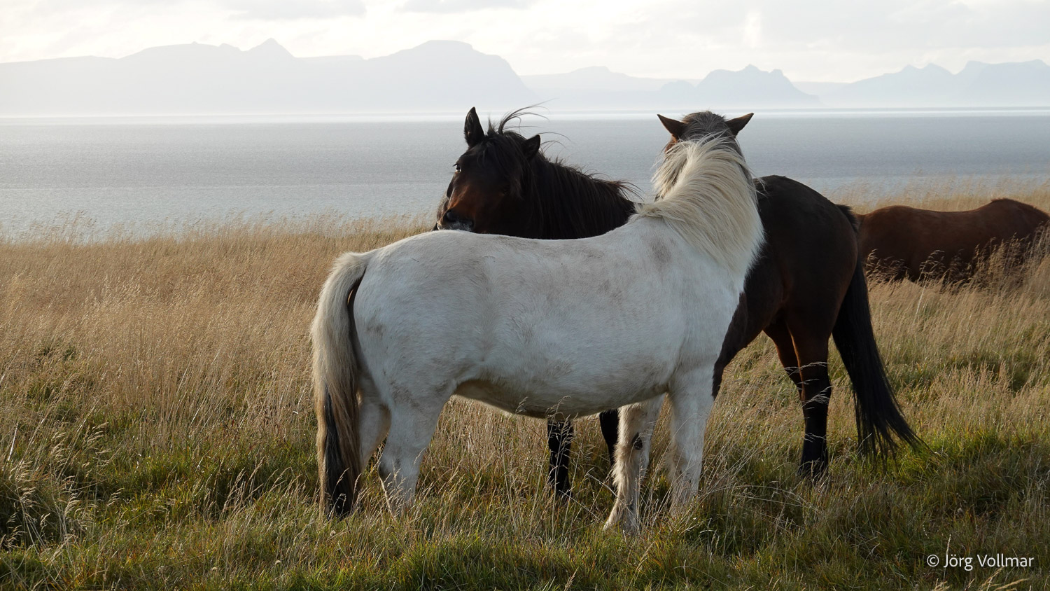 2025_09_Island_Teilnehmer-234