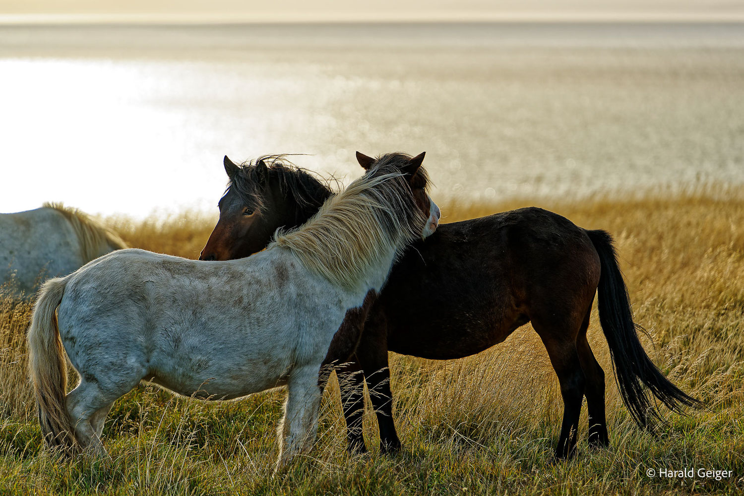 2025_09_Island_Teilnehmer-239