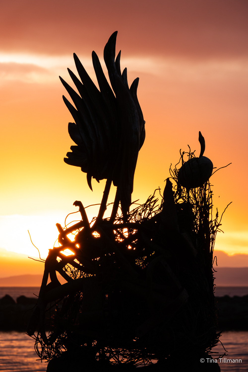 2025_09_Island_Teilnehmer-240