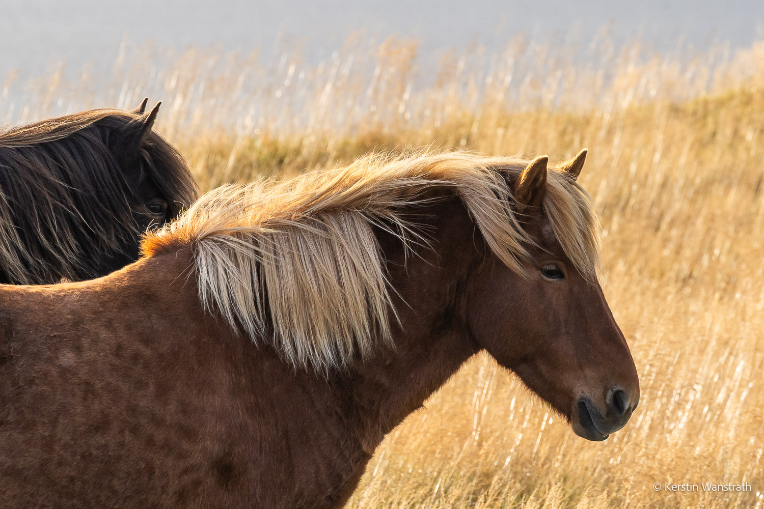 2025_09_Island_Teilnehmer-243