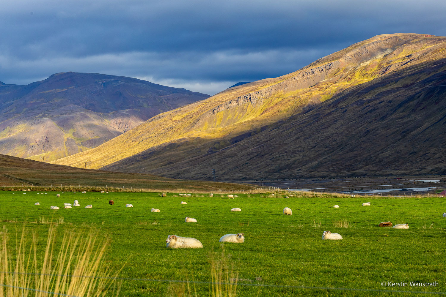 2025_09_Island_Teilnehmer-256