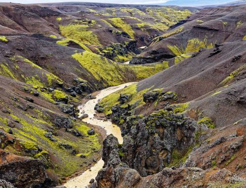 Island Nord 2025  – Fotos der Reisegruppe