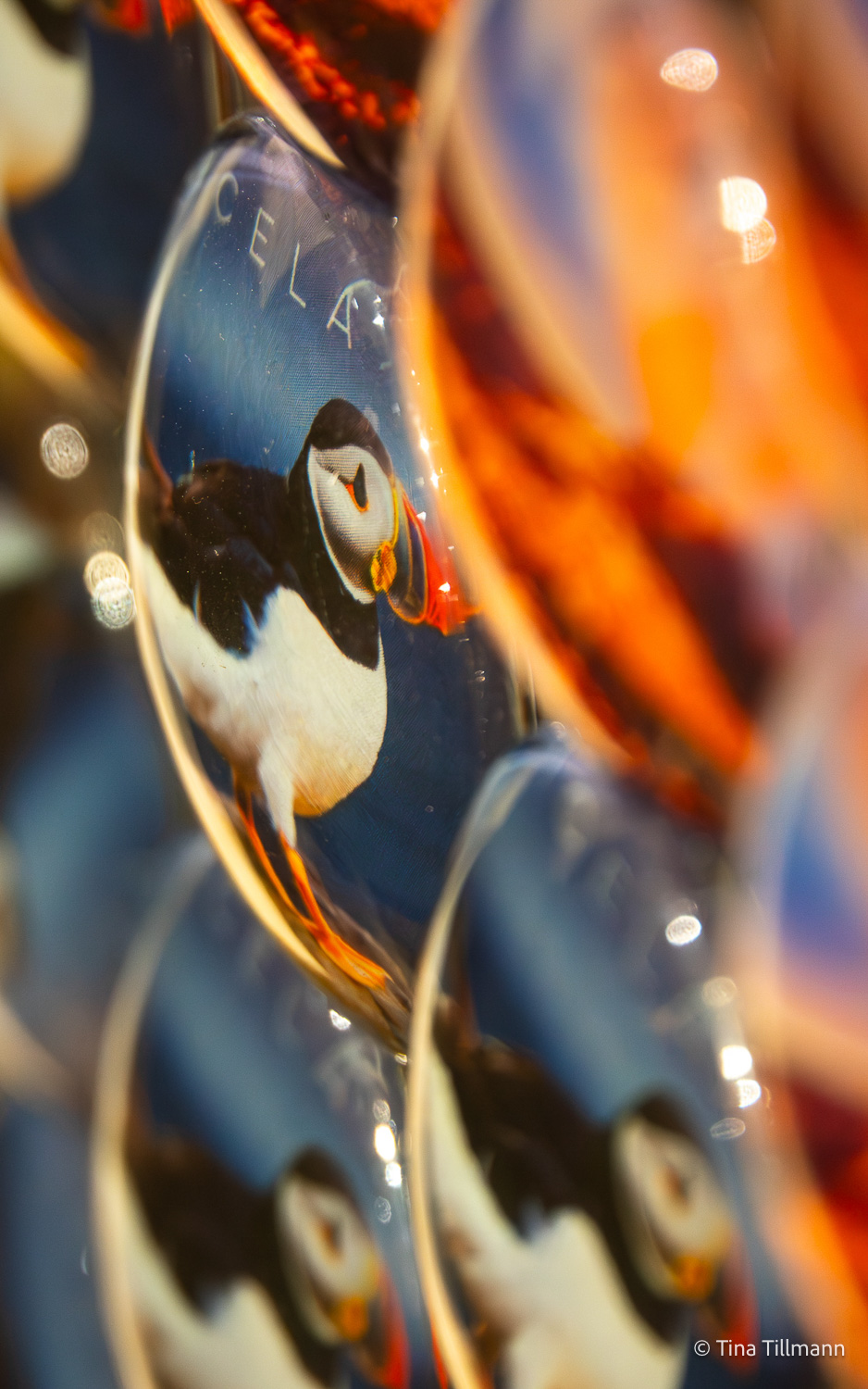 2025_09_Island_Teilnehmer-281