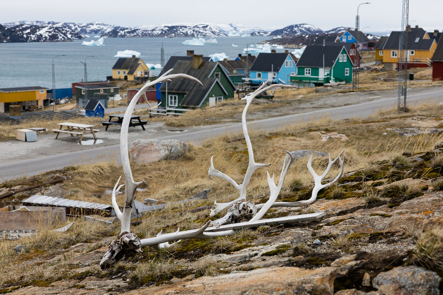 Fotoreise Grönland Qasigiangguit, Impresionen