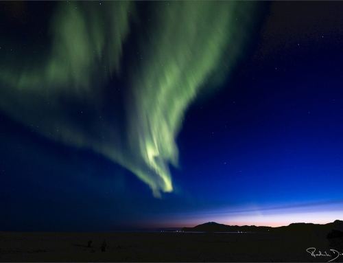 Magische Momente: Polarlichter und Wale auf unserer Fotoreise durch Snæfellsnes, Island.