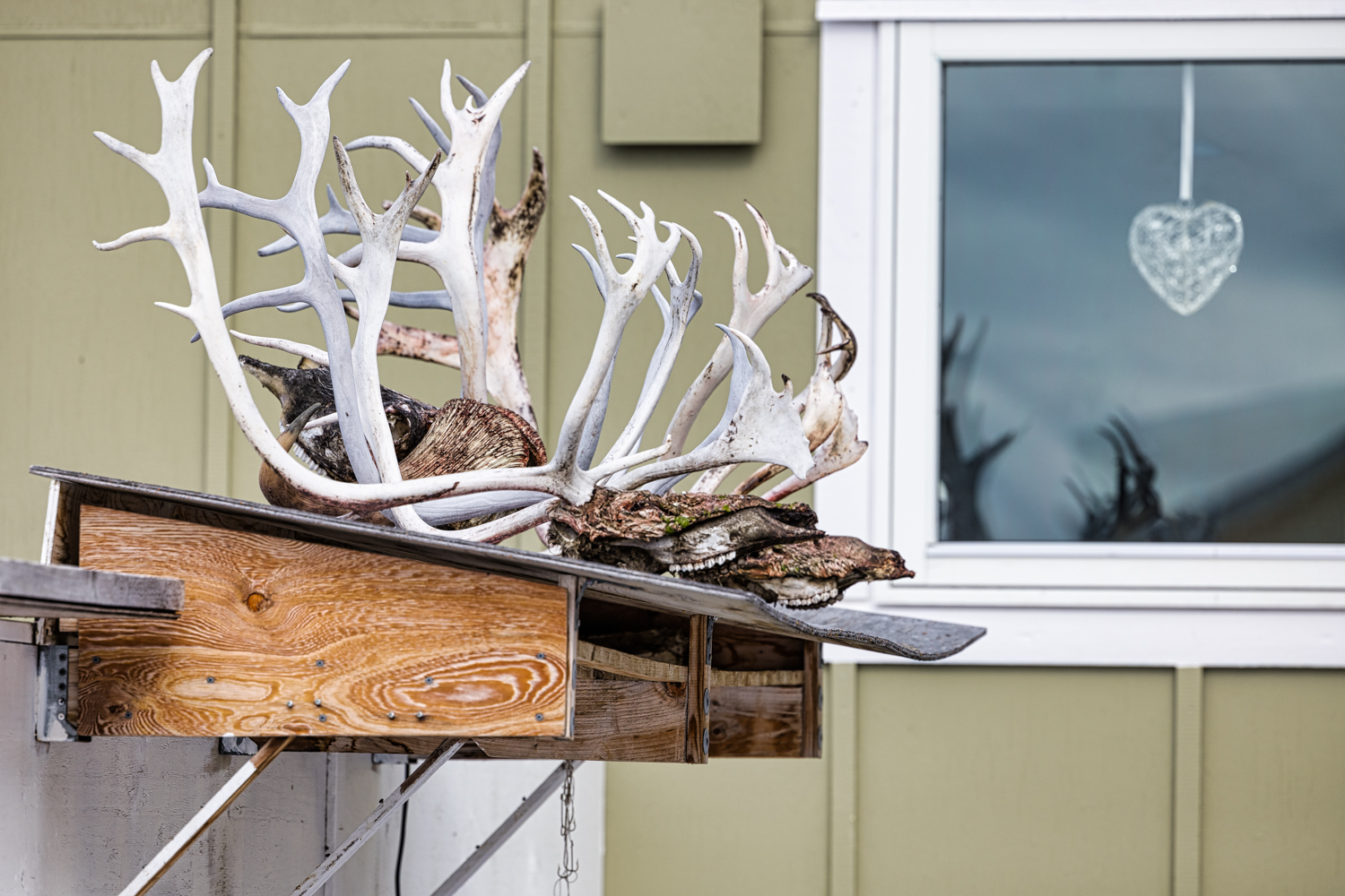 Impressionen aus Ilulissat Fotoreise West Grönland