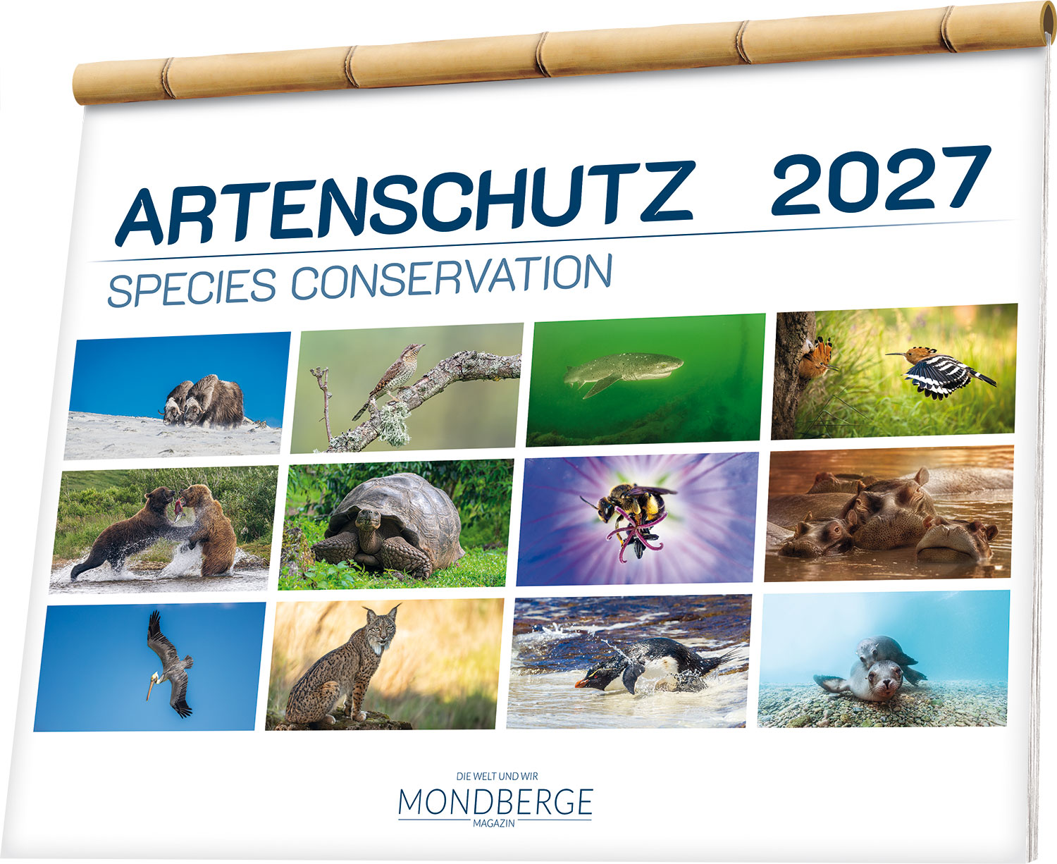 Mondberge Artenschutz-Kalender 2027 mit Tierfotos bedrohter Arten