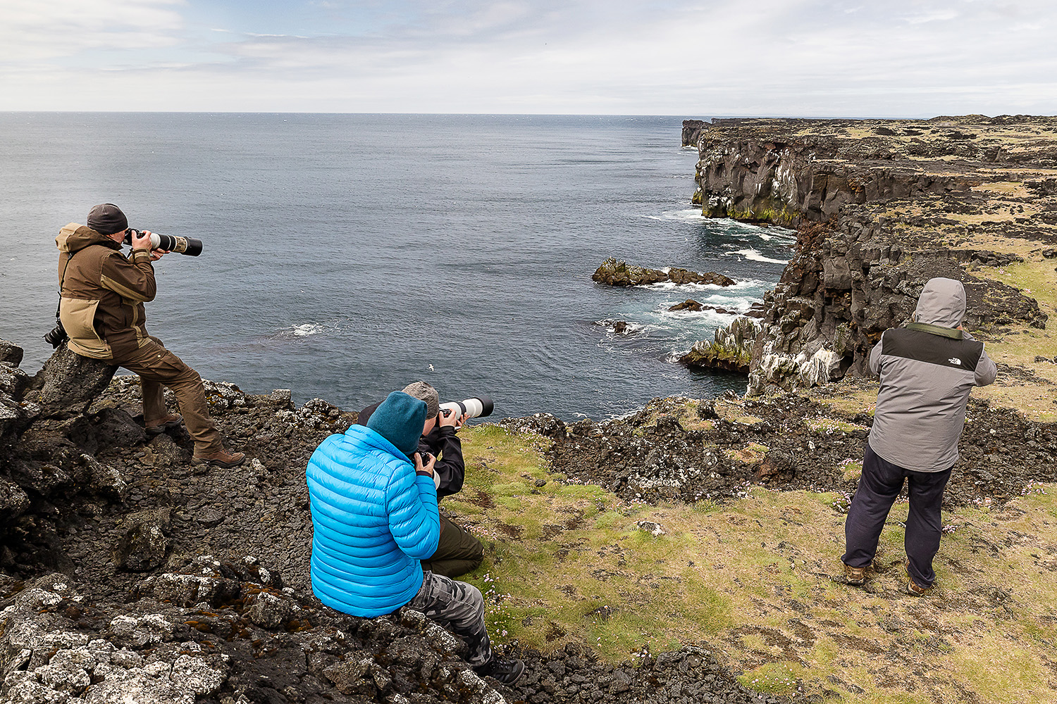 Teilnehmer fotografieren Seevögel an den Basaltklippen während der Fotoreise Birds & Whales in Westisland, Island.