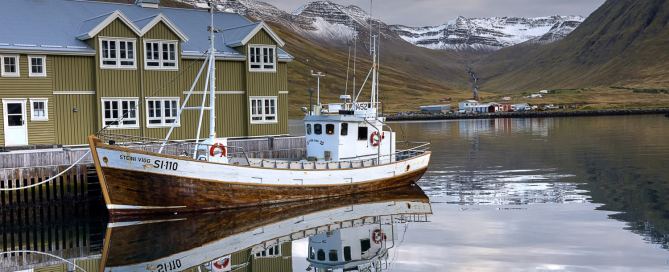Blick über Akureyri am Eyjafjörður: herbstlich gefärbte Bäume im Vordergrund, aufsteigender Dampf aus geothermischen Quellen und die ruhige Fjordlandschaft mit Bergen im Hintergrund. Diese Szene zeigt eindrucksvoll, wie eng Natur, erneuerbare Energie und Leben in Nordisland miteinander verbunden sind – ein spannendes Motiv auf unseren Fotoreisen durch Island.
