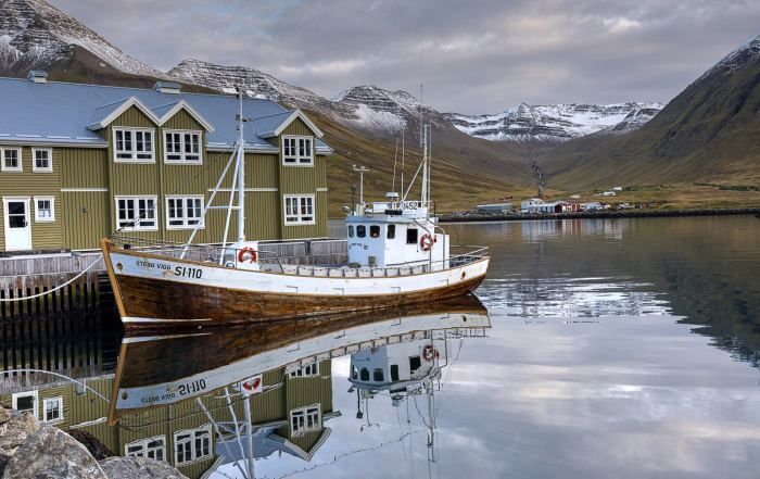 Blick über Akureyri am Eyjafjörður: herbstlich gefärbte Bäume im Vordergrund, aufsteigender Dampf aus geothermischen Quellen und die ruhige Fjordlandschaft mit Bergen im Hintergrund. Diese Szene zeigt eindrucksvoll, wie eng Natur, erneuerbare Energie und Leben in Nordisland miteinander verbunden sind – ein spannendes Motiv auf unseren Fotoreisen durch Island.