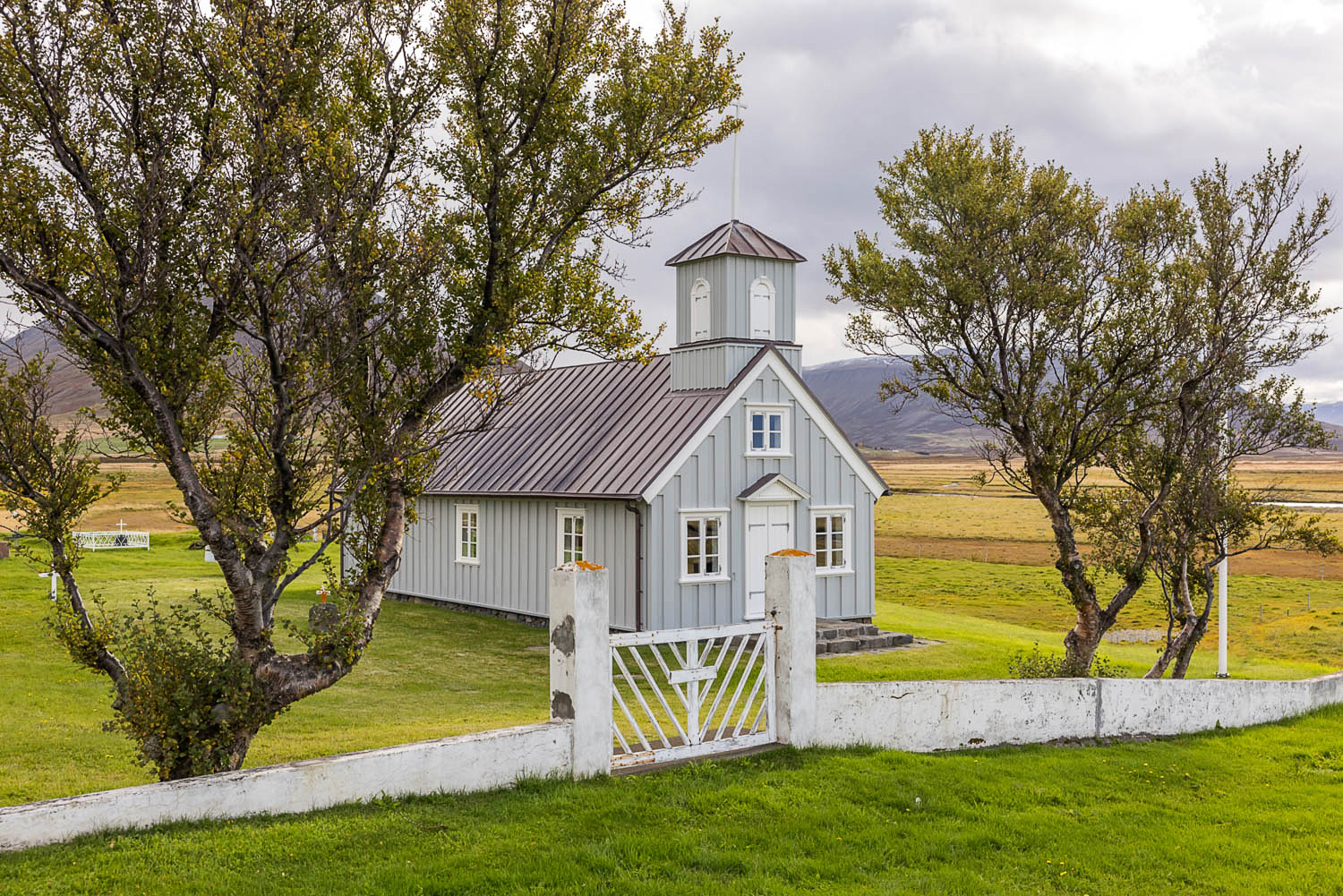 Kleine weiße Holzkirche in Nordisland, eingerahmt von Birkenbäumen, mit Wiese und Bergen im Hintergrund.