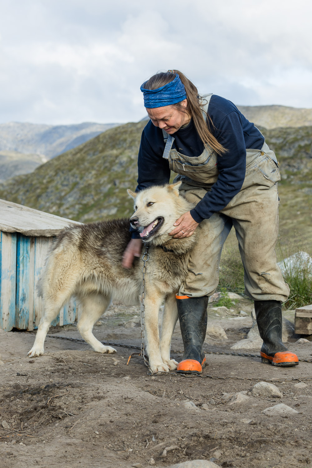Fotoreise Grönland, Qasigiannguit, Schlittenhunde, zu Besuch beim Hundezüchter