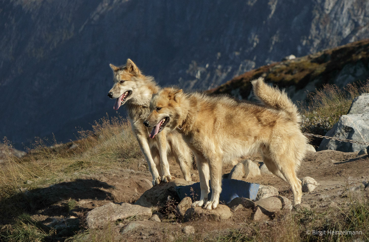 fotoreise_grönland_2025-108