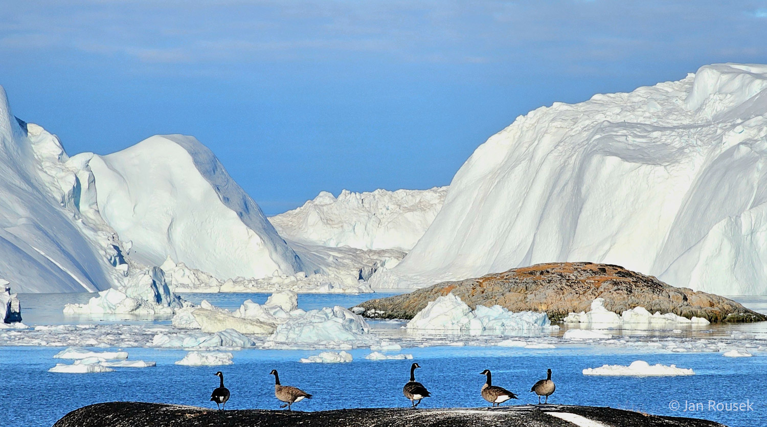 fotoreise_grönland_2025-137