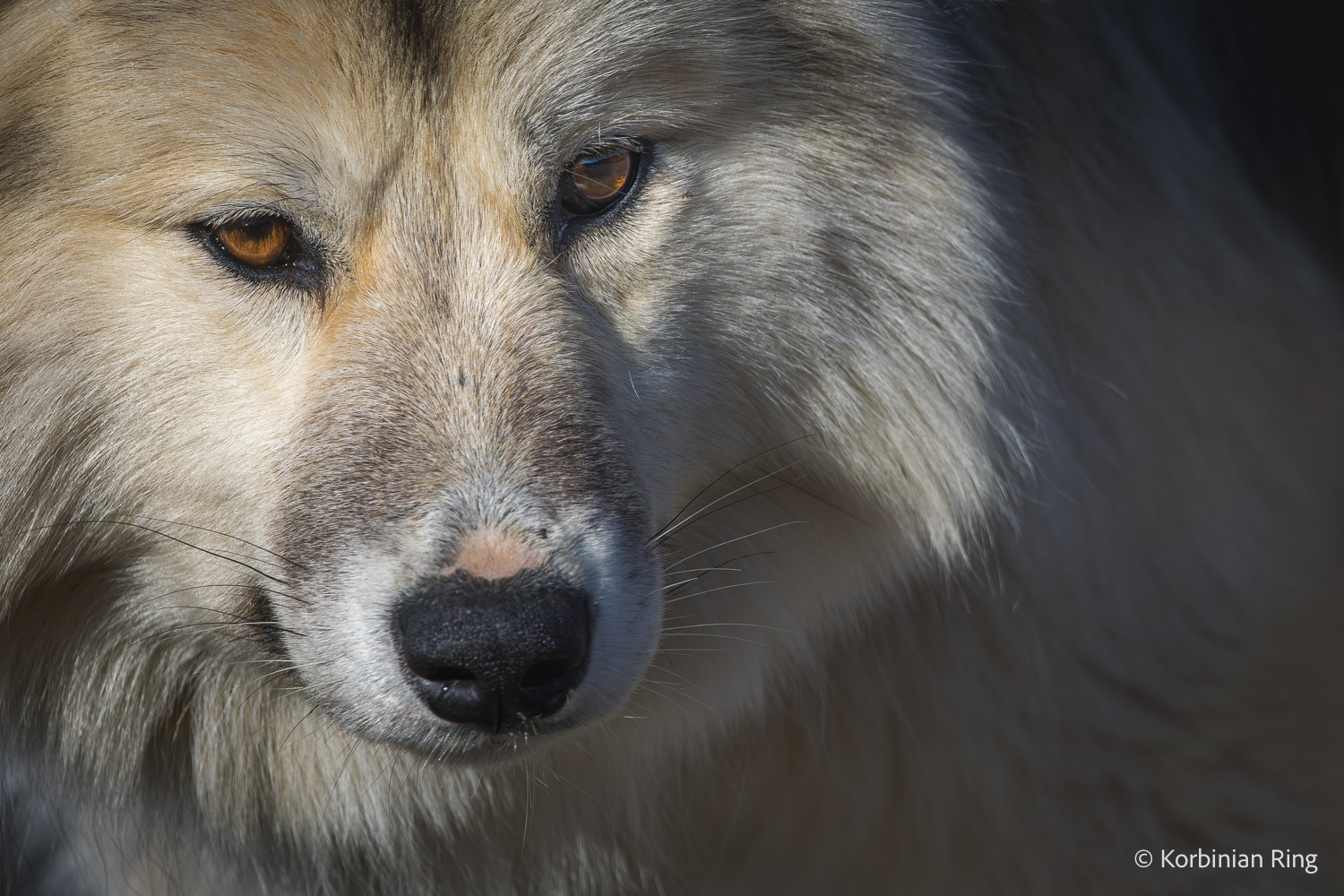 fotoreise_grönland_2025-209