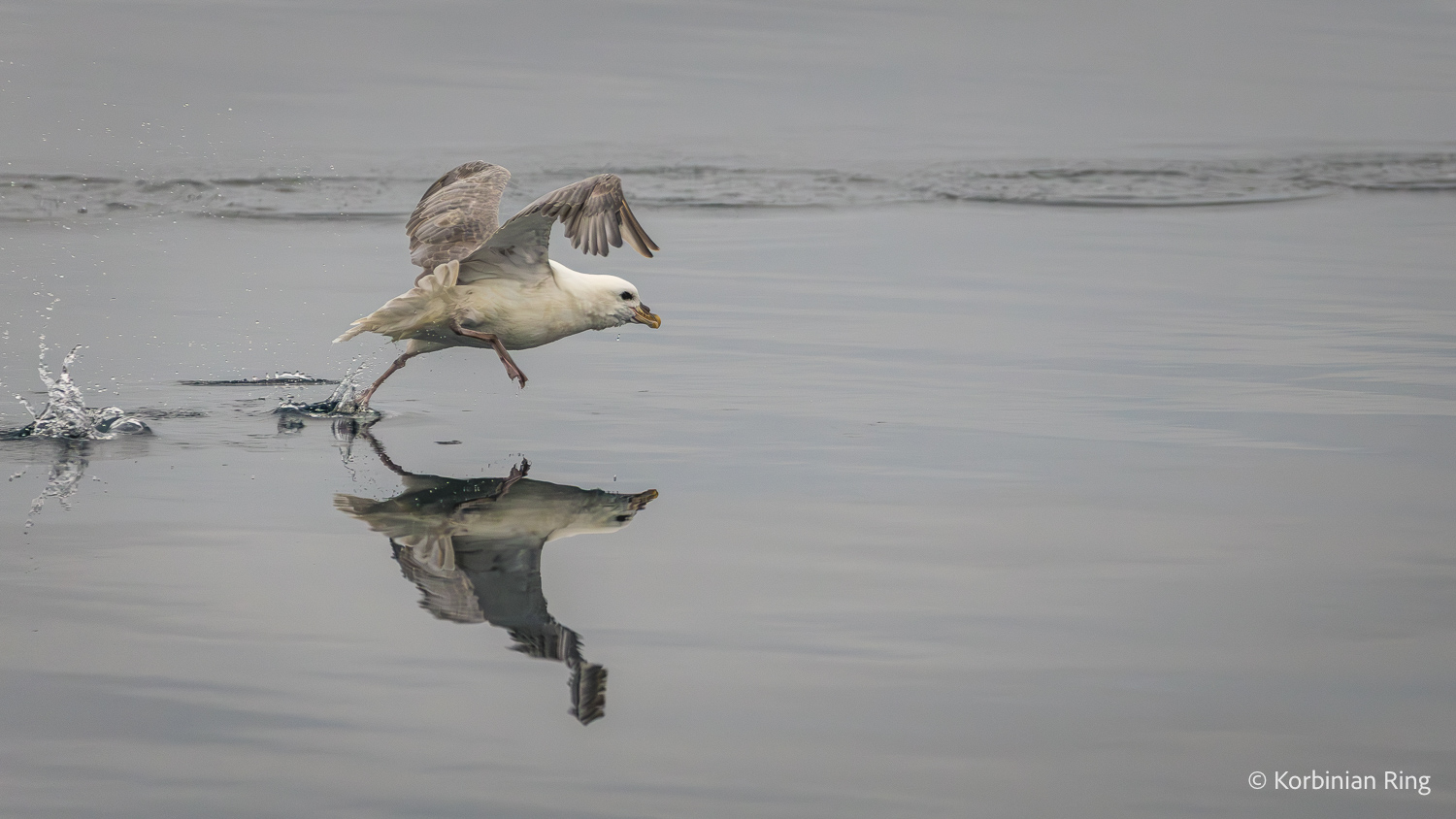 fotoreise_grönland_2025-218