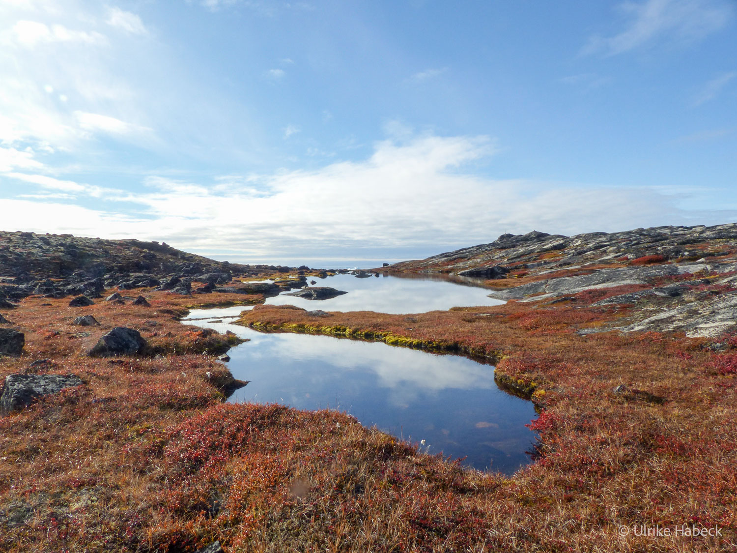 fotoreise_grönland_2025-230