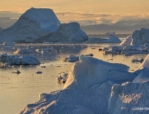 Grönland 2025  – Fotos der Reisegruppe