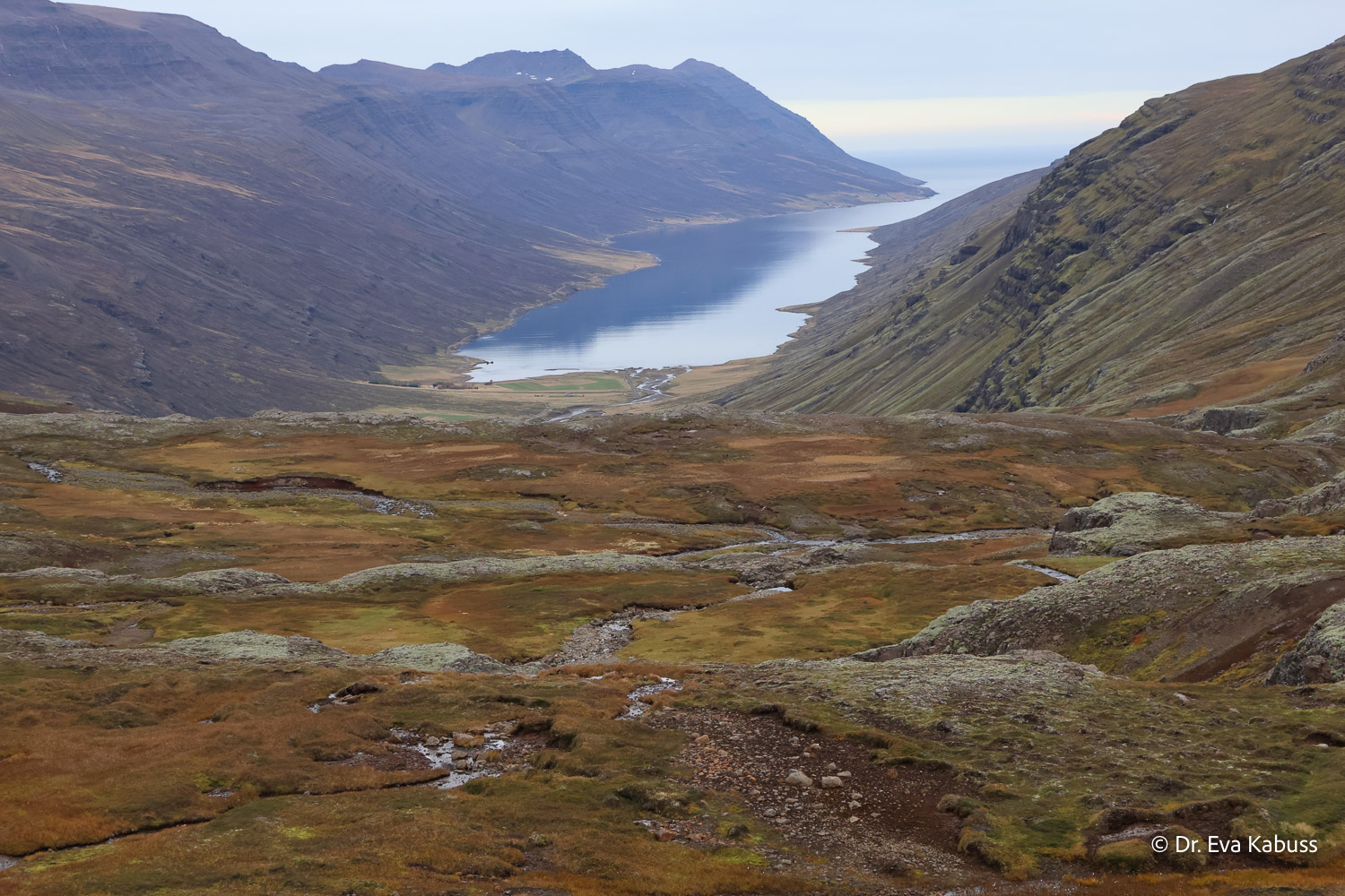 fotos-reisegruppe-island-oktober-2025-113