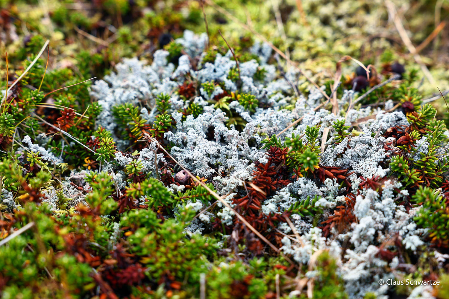 fotos-reisegruppe-island-oktober-2025-118