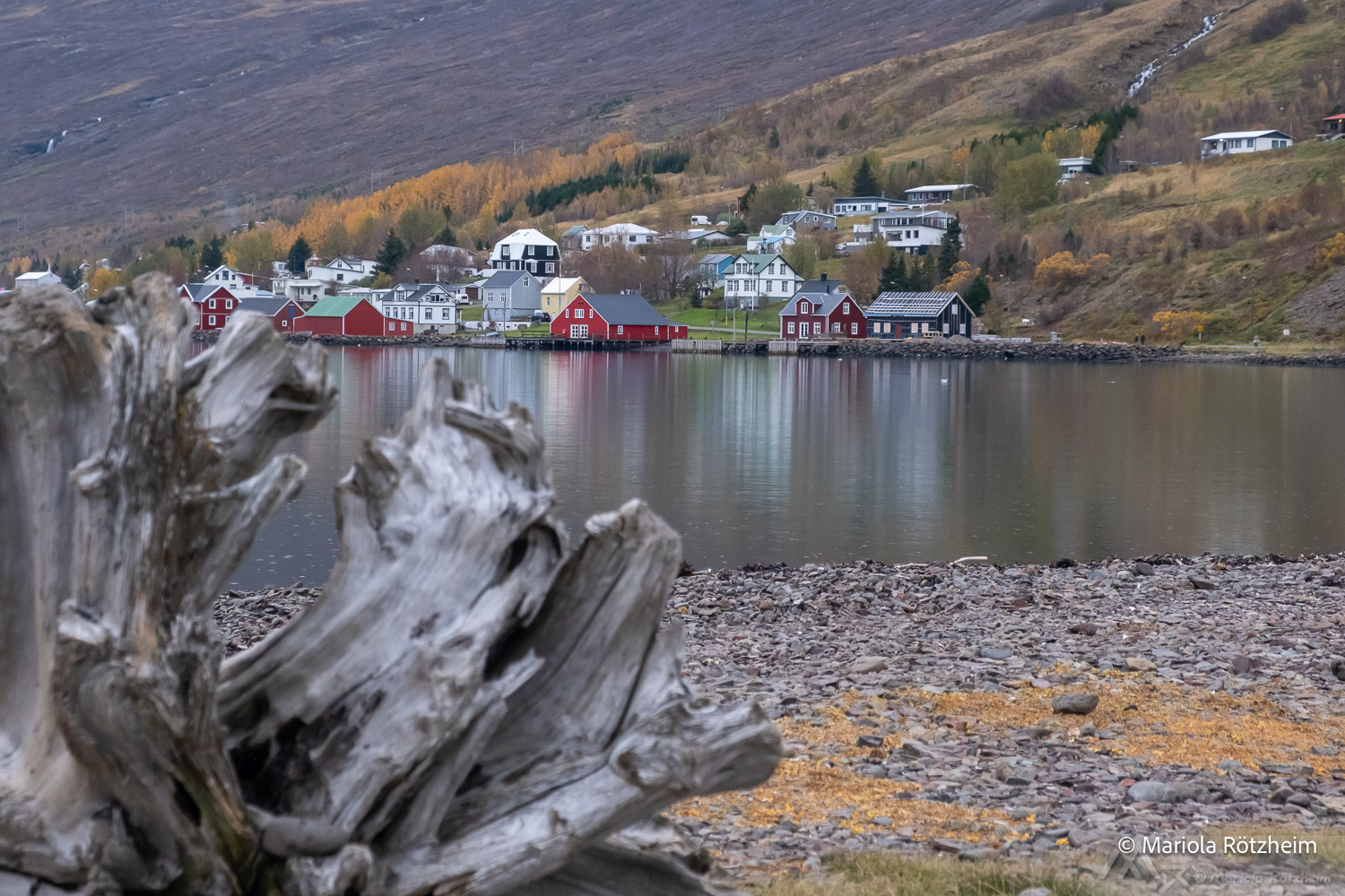 fotos-reisegruppe-island-oktober-2025-125