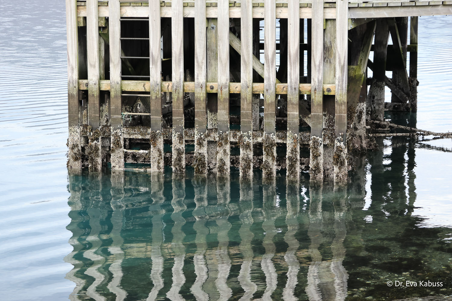 fotos-reisegruppe-island-oktober-2025-126