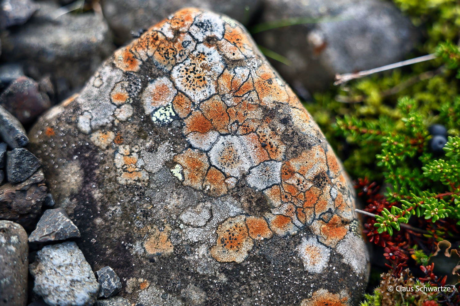 fotos-reisegruppe-island-oktober-2025-134