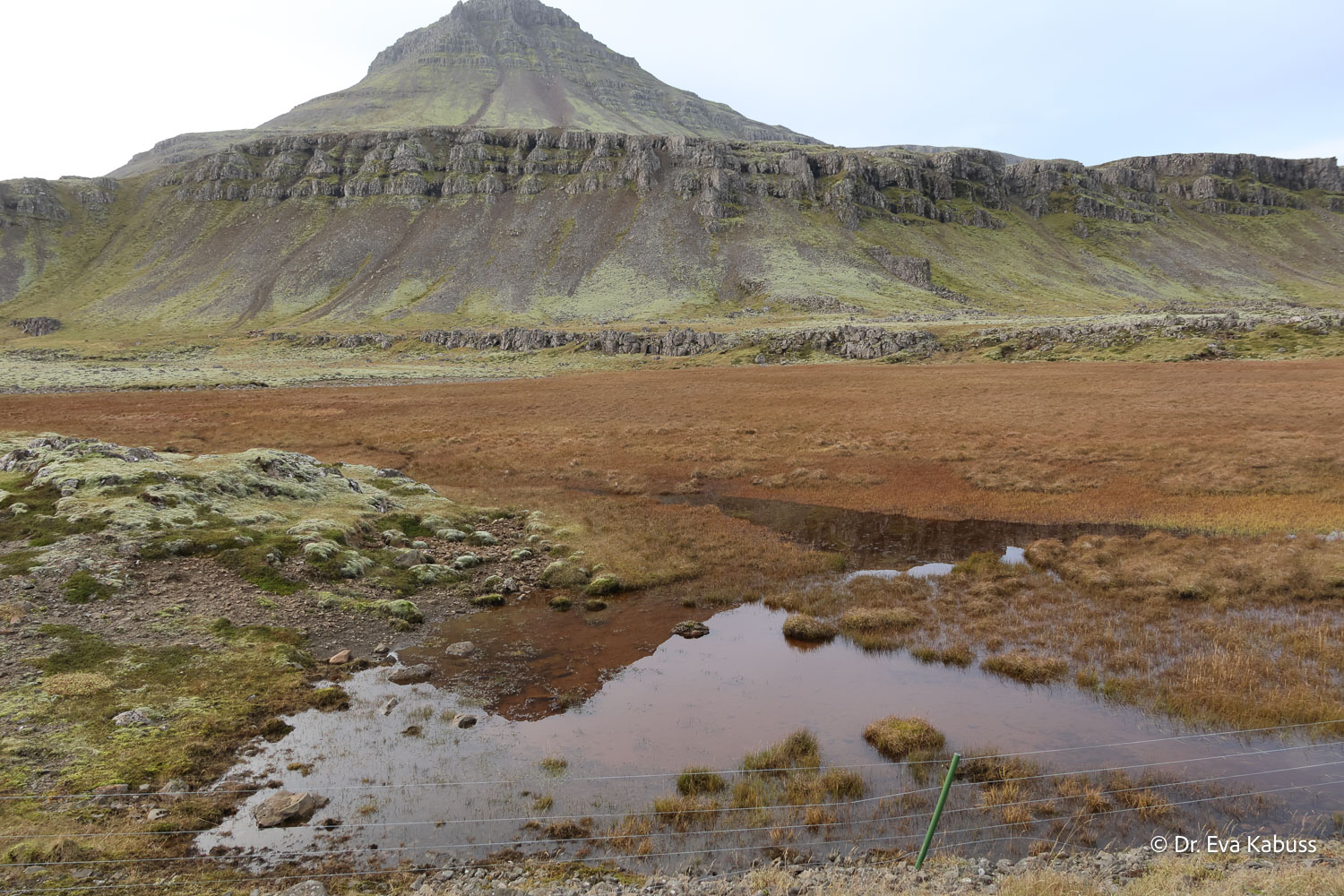 fotos-reisegruppe-island-oktober-2025-139